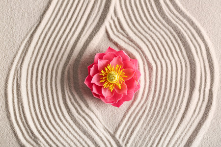 Beautiful flower on light sand with lines. Zen conceptの写真素材