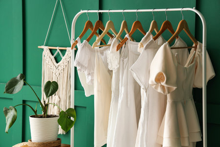 Rack with stylish female clothes, houseplant and decor hanging on color wallの写真素材