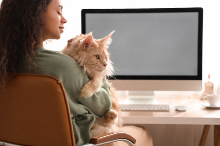 Beautiful young happy African-American woman working with her cute Maine Coon cat and PC at homeの写真素材