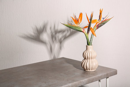 Vase with beautiful strelitzia flowers on tableの写真素材