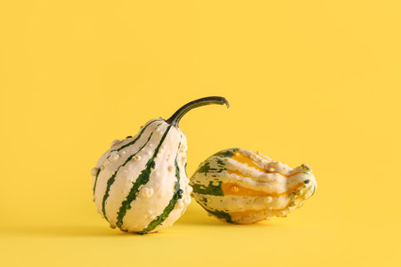 Fresh pumpkins on yellow backgroundの写真素材