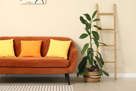 Houseplant, ladder and sofa in interior of living roomの写真素材