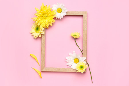 Frame with beautiful chrysanthemum flowers on pink backgroundの写真素材