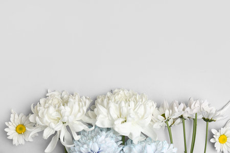 Beautiful white chrysanthemum flowers on gray backgroundの写真素材