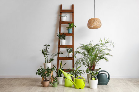 Watering cans with green plants and ladder near light wall in roomの写真素材