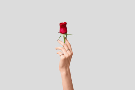 Female hand with red rose flower on gray background, closeup. Valentine's Day celebrationの写真素材