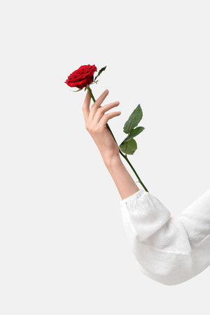 Female hand with beautiful red rose flower against light background, closeup. Valentine's Day celebrationの写真素材
