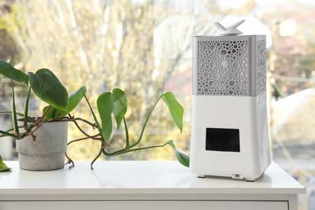 Modern air humidifier with plant on commode near window in roomの写真素材