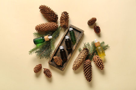 Bottles of essential oil with pine cones and fir branches on beige backgroundの写真素材