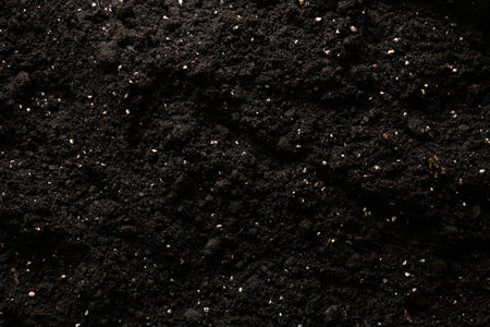 Texture of soil as background, closeupの写真素材