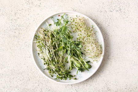 Plate with different micro green on light backgroundの写真素材