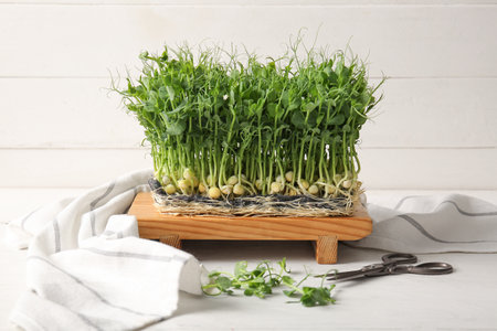 Board with fresh micro green sprouts, scissors and napkin on light wooden tableの写真素材