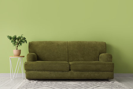 Stylish sofa and small olive tree on coffee table near green wallの写真素材