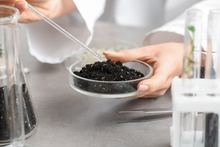 Scientist soil studying at grunge table, closeup