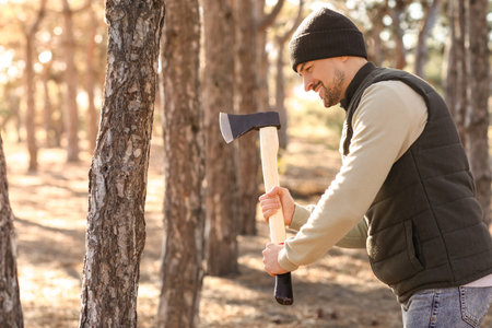 Male lumberjack chopping down tree in forestの写真素材