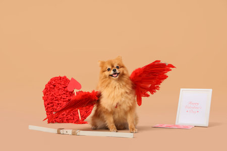 Cute Pomeranian dog in Cupid's wings with bow, arrow and greeting card in frame sitting on beige...