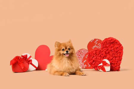 Cute Pomeranian dog with gift boxes and different red hearts lying on beige background. Valentine's Day celebrationの写真素材