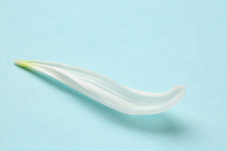 White chrysanthemum flower petal on blue backgroundの写真素材