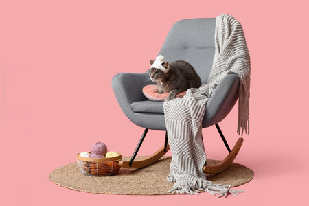 Cute cat with warm knitted hat lying in armchair on pink backgroundの写真素材