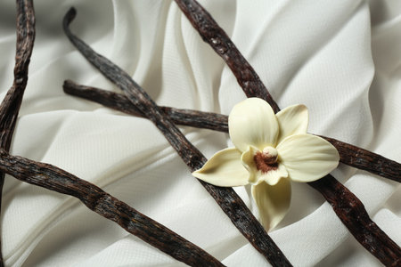 Composition with aromatic vanilla sticks and flower on light fabric, closeup