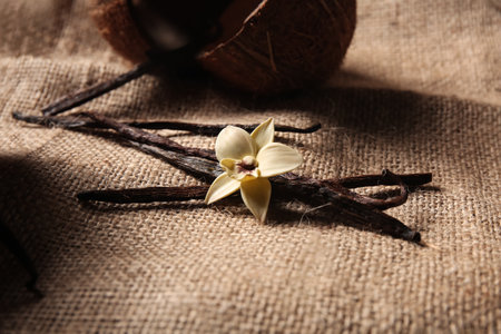 Aromatic vanilla sticks, flower and coconut shells on burlap fabricの写真素材