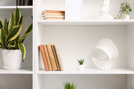 Shelves with books, houseplant and stylish decor, closeupの写真素材