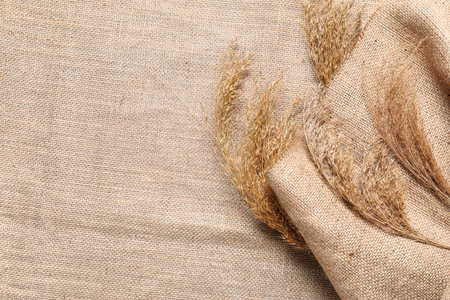 Pampas grass on burlap fabricの写真素材