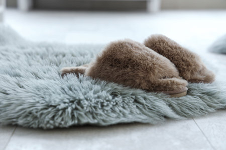 Brown slippers on soft carpet in room, closeup
