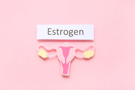 Word ESTROGEN with paper uterus on pink backgroundの写真素材