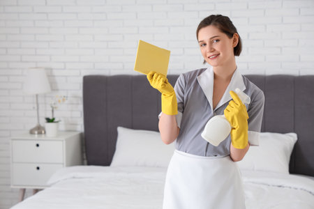 Young chambermaid with rag and detergent in hotel roomの写真素材