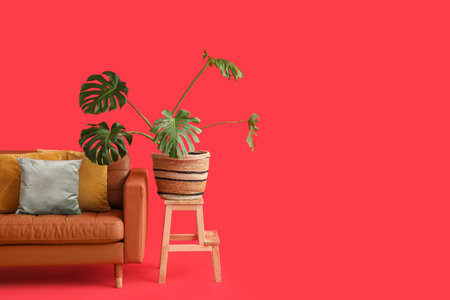 Cozy sofa with cushions and houseplant on red backgroundの写真素材
