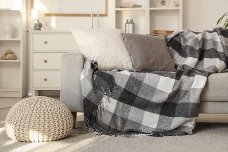 Gray sofa with cushions and plaid in living room interiorの写真素材