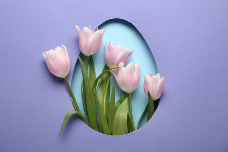 Cut purple paper in shape of Easter egg with beautiful tulip flowers on blue backgroundの写真素材