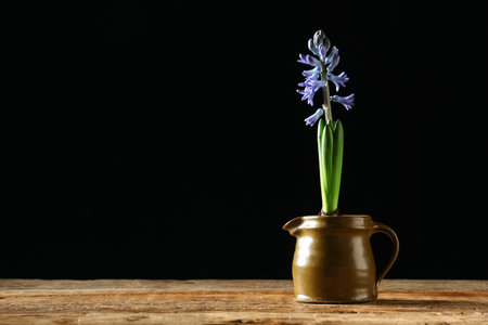 Beautiful hyacinth plant in jug on wooden table against black backgroundの写真素材