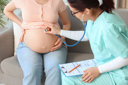 Female doctor with stethoscope listening to pregnant woman's belly at homeの写真素材