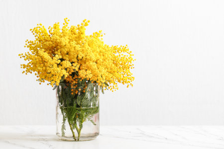 Vase with mimosa flowers on grunge table against white backgroundの写真素材