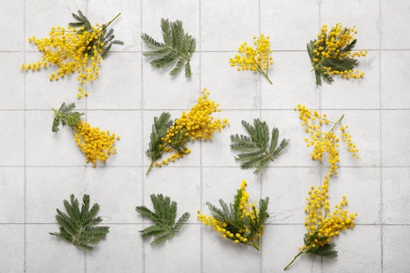 Beautiful yellow mimosa flowers on white tile backgroundの写真素材