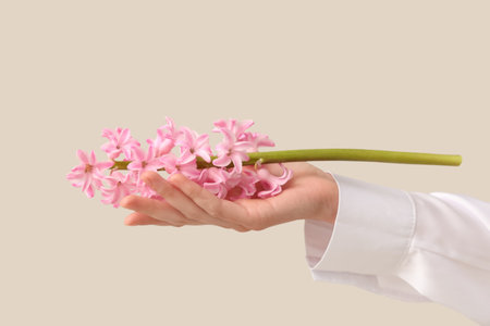 Female hand with beautiful pink hyacinth flower on beige backgroundの写真素材