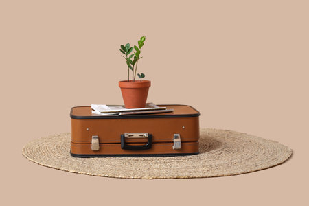 Vintage suitcase with houseplant and magazines on wicker rug against beige backgroundの写真素材