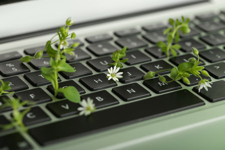 Laptop with leaves and flowers, closeup. Concept of green technologyの写真素材
