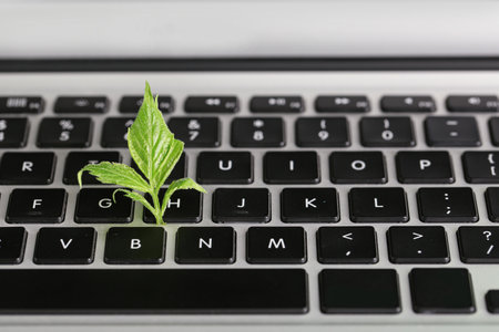 Laptop with leaves, closeup. Concept of green technologyの写真素材