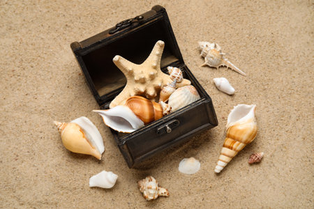 Small chest with sea shells on sandの写真素材