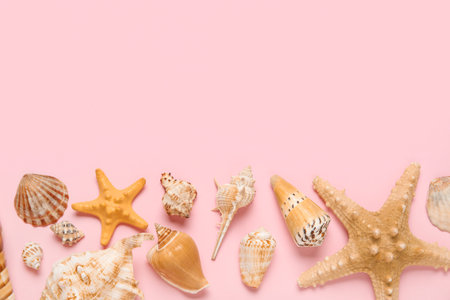 Many different seashells and starfishes on pink background