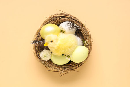 Nest with Easter eggs, baby chicken and beautiful flowers on beige background