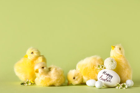 Baby chickens with Easter eggs and beautiful flowers on green backgroundの写真素材