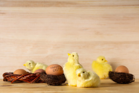 Nests with Easter eggs and baby chickens on wooden background
