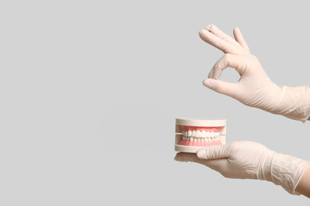 Dentist's hands with jaw model showing OK on light backgroundの写真素材