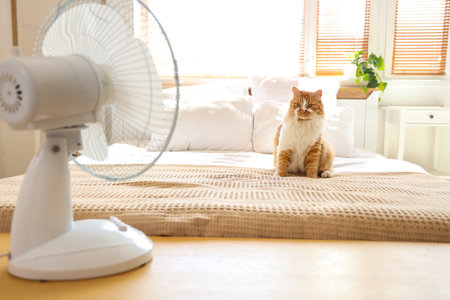 Funny cat and electric fan in bedroomの写真素材