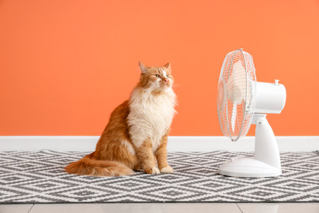 Funny cat and electric fan against orange wallの写真素材