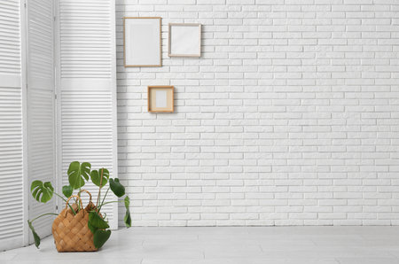 Interior of stylish room with frames, houseplant and folding screenの写真素材